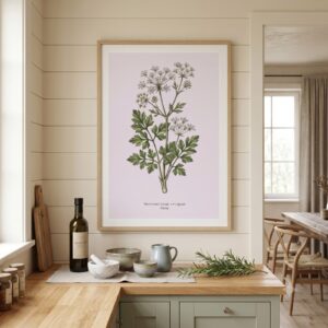 Rosemary — Botanical Study